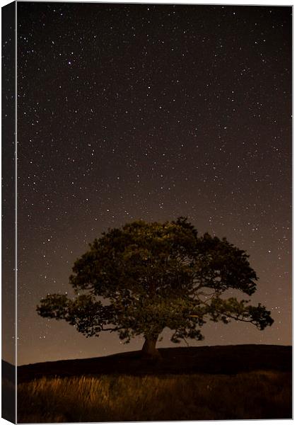  Starry Starry Night Canvas Print by Sean Wareing
