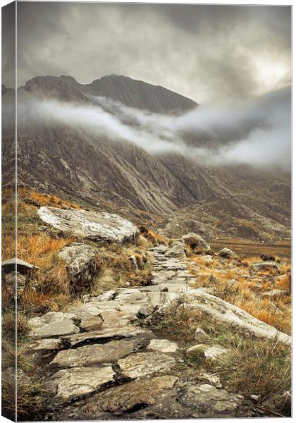  Mountain Track Canvas Print by Sean Wareing