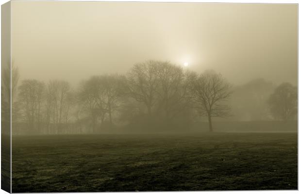 A Foggy Morning Canvas Print by Sean Wareing