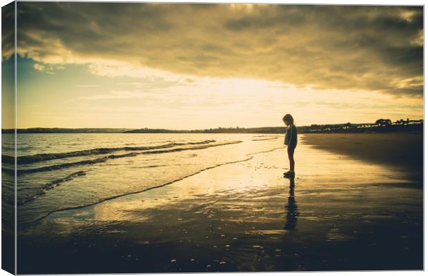 Alone on the shore Canvas Print by Sean Wareing