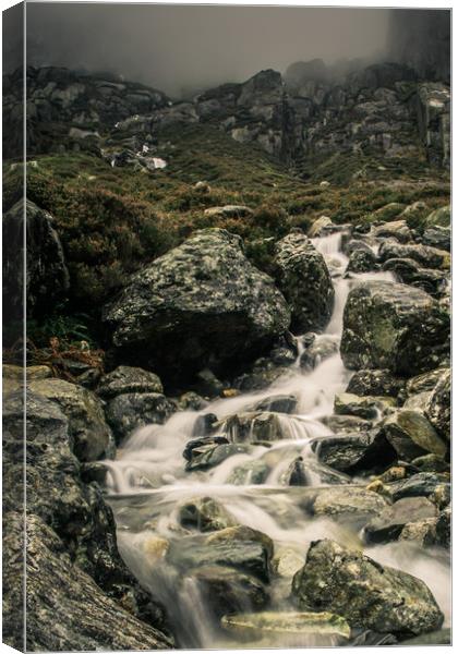 Snowdonia Pure #2 Canvas Print by Sean Wareing