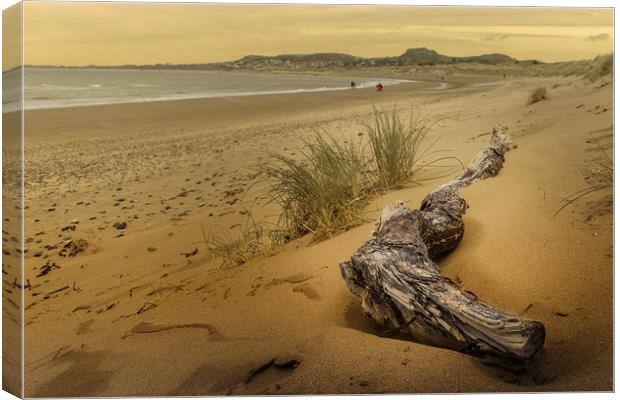 Morfa Conwy Beach Canvas Print by Sean Wareing