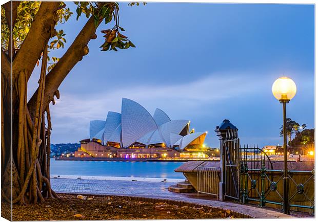 Sydney Opera House Canvas Print by peter tachauer
