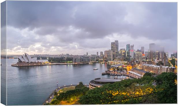 Sydney Harbour Panorama Canvas Print by peter tachauer