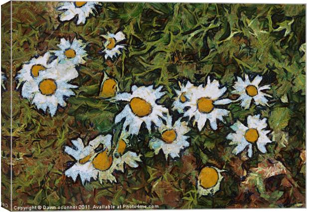 Daisys in Van Gogh Style Canvas Print by Dawn O'Connor