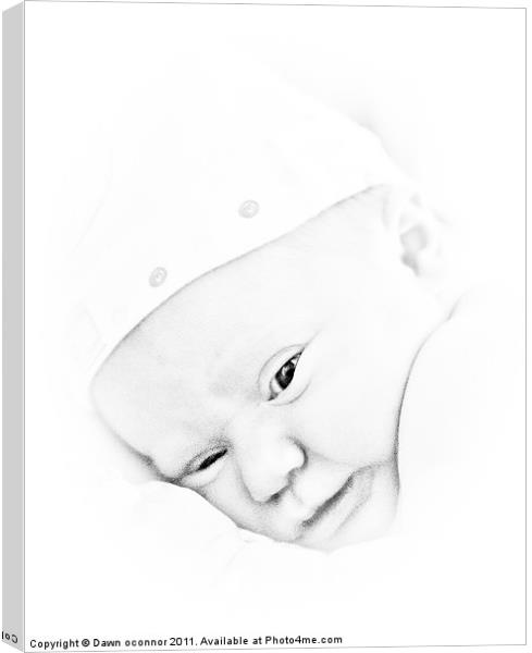 Baby Face Canvas Print by Dawn O'Connor