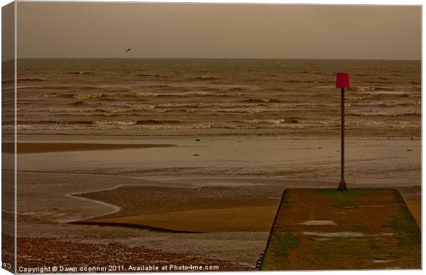 Hurricane Katrina on the South Coast UK Canvas Print by Dawn O'Connor