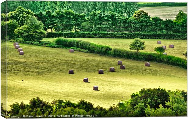 Englands Green Fields Canvas Print by Dawn O'Connor