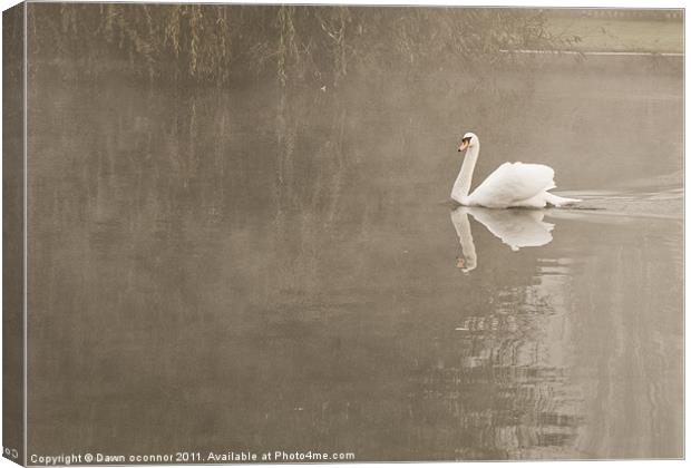 Swan in Mist Canvas Print by Dawn O'Connor
