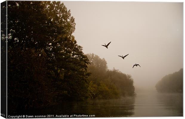 Three Geese on a Misty Morning Canvas Print by Dawn O'Connor