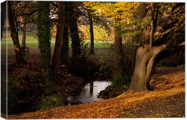 Autumn Leaves Canvas Print by Dawn O'Connor