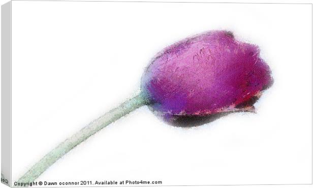 Purple Tulip in Pastel Canvas Print by Dawn O'Connor