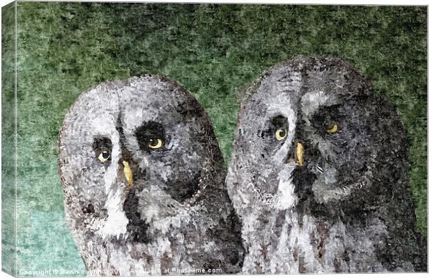 Great Grey Owl Painting Canvas Print by Dawn O'Connor