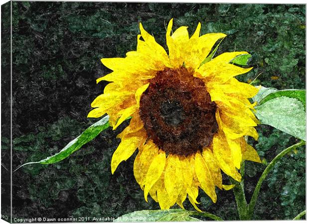 Sunflower Painting Canvas Print by Dawn O'Connor
