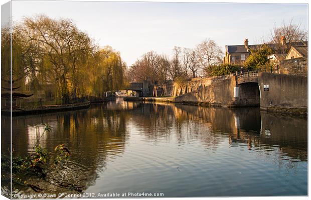 Regents Canal Canvas Print by Dawn O'Connor