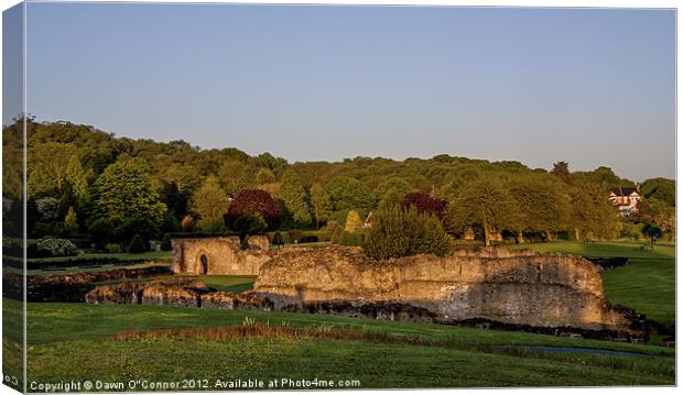 Lesnes Abbey Ruins, Abbeywood Canvas Print by Dawn O'Connor