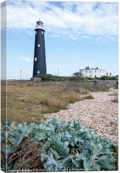 Dungeness Lighthouse Canvas Print by Dawn O'Connor