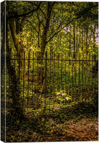 On The Otherside of the Fence Canvas Print by Dawn O'Connor