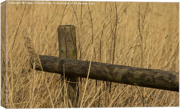 Fence Post Canvas Print by Dawn O'Connor