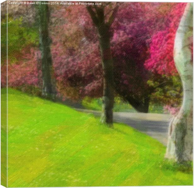 Victoria Park Spring Time 4 of 6 Canvas Print by Dawn O'Connor