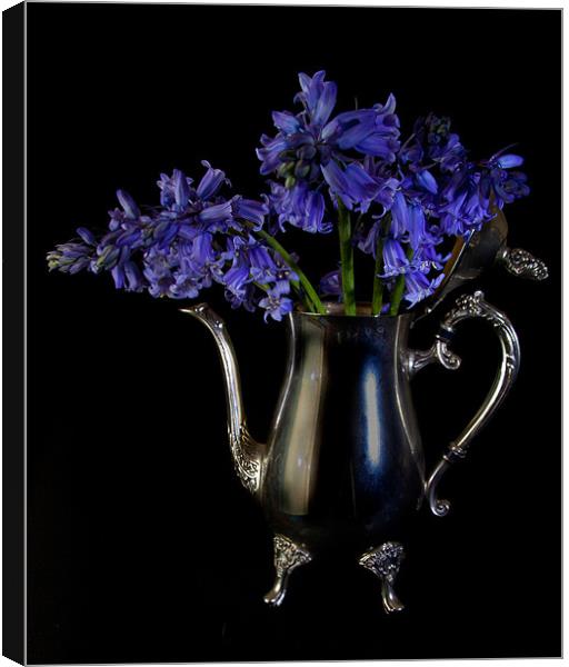 Bluebells in Silver Canvas Print by Dawn O'Connor