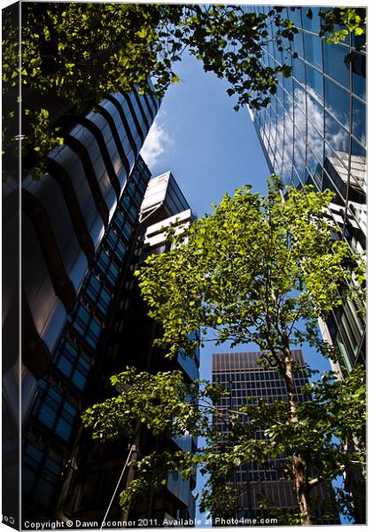 Skyscrapers and Trees Canvas Print by Dawn O'Connor