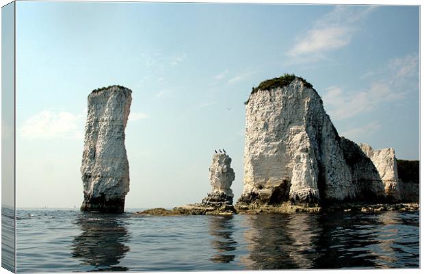 Old Harry Rocks Canvas Print by Graham Piper