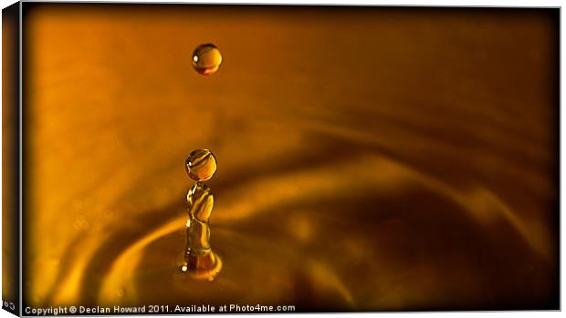Golden Droplet Canvas Print by Declan Howard