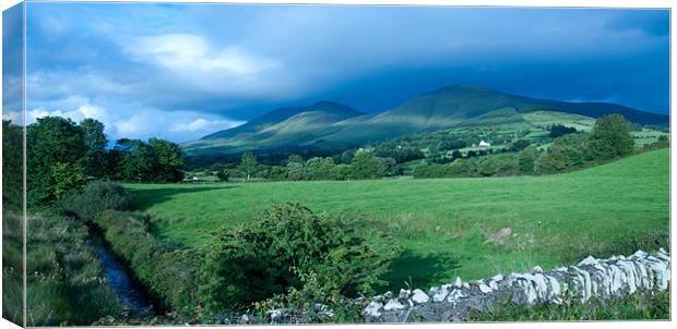 Over The Wall Canvas Print by Declan Howard