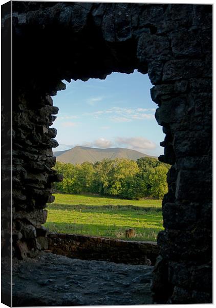 Room With A View Canvas Print by Declan Howard