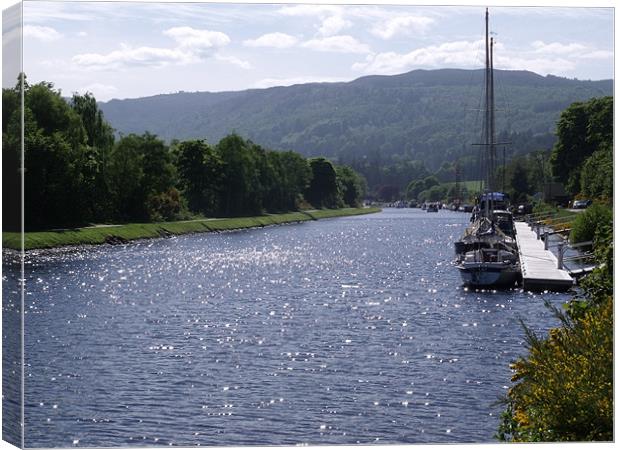 Sunny Day On The Caledonian Canal Canvas Print by Nigel G Owen