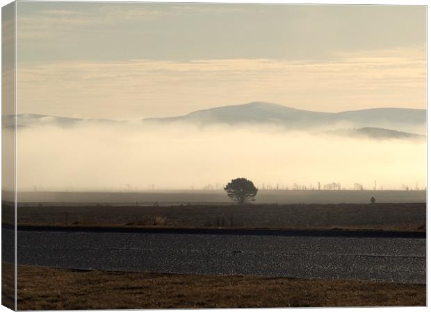 A9 in the mist Canvas Print by Nigel G Owen