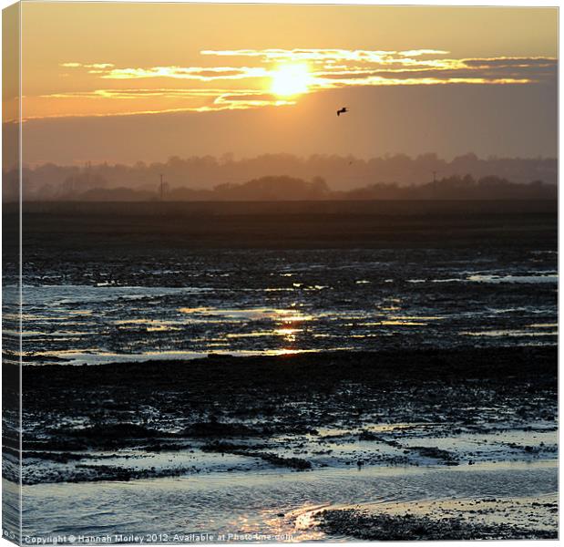 Rye Harbour Nature Reserve, Sunset Canvas Print by Hannah Morley