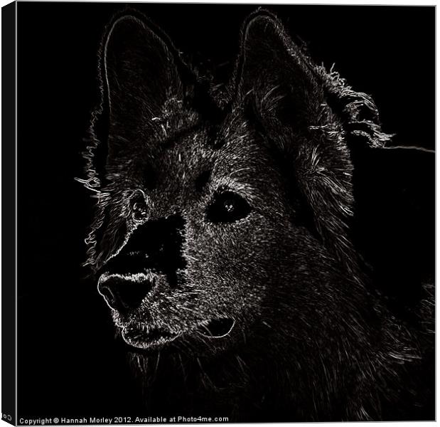 Belgian Shepherd Dog Canvas Print by Hannah Morley