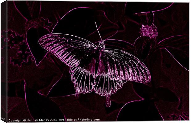 Pink Neon Butterfly Canvas Print by Hannah Morley