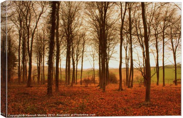 Friston Forest Canvas Print by Hannah Morley