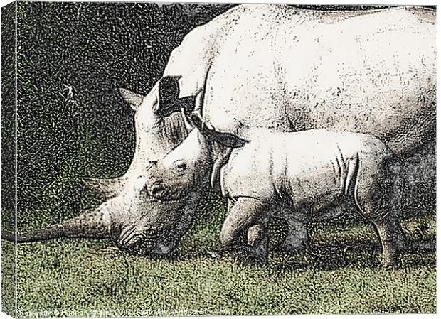 White Rhino and Baby Canvas Print by Hannah Morley
