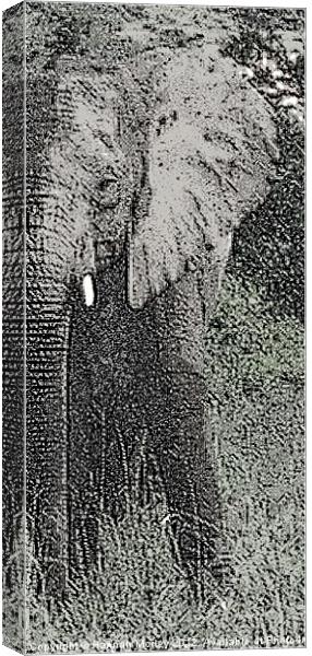 Elephant Canvas Print by Hannah Morley