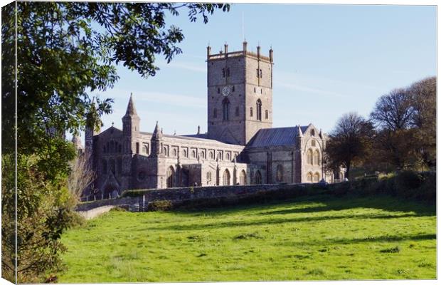 St David's Cathedral    Canvas Print by Anthony Michael 