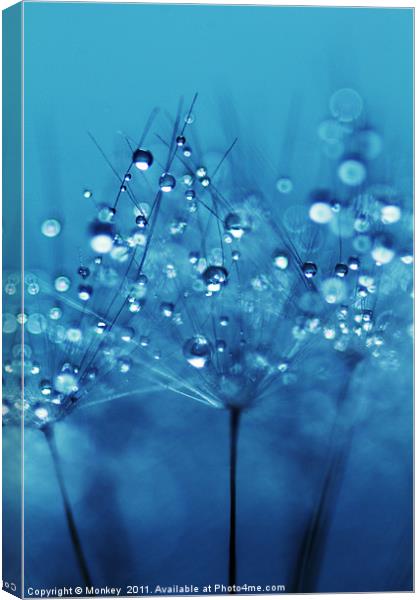 Soft Blue Water Droplets Canvas Print by Anthony Michael 