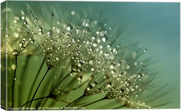 Sparkling Water Droplets Canvas Print by Anthony Michael 