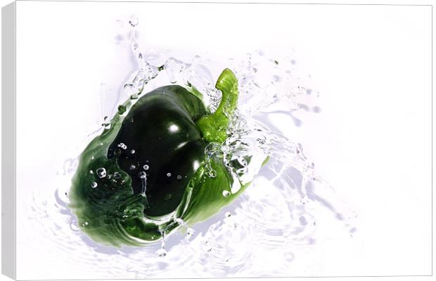 Fresh Green Pepper Canvas Print by Anthony Michael 