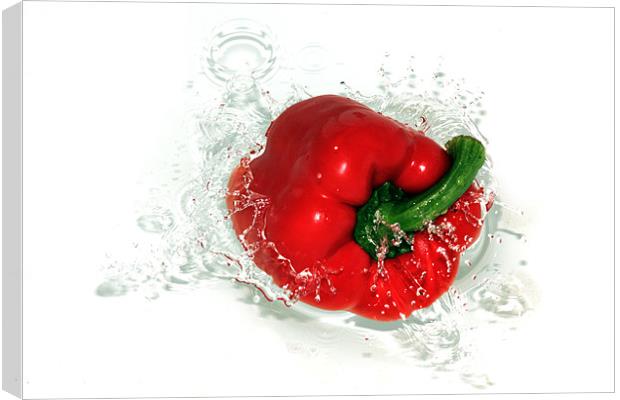 Fresh Red Pepper Canvas Print by Anthony Michael 