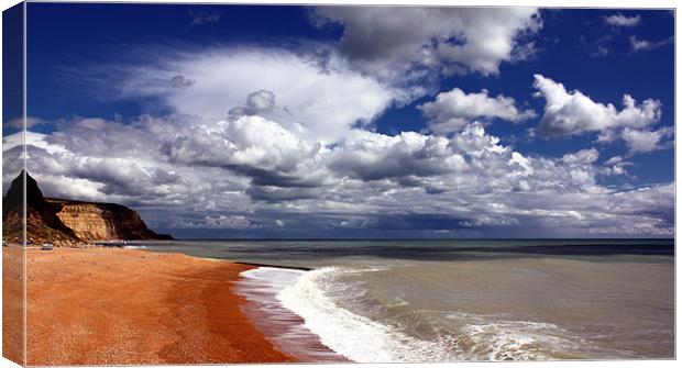 Hastings Beach  Canvas Print by Anthony Michael 