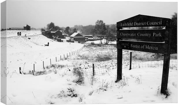 Chasewater in Winter Canvas Print by Anthony Michael 