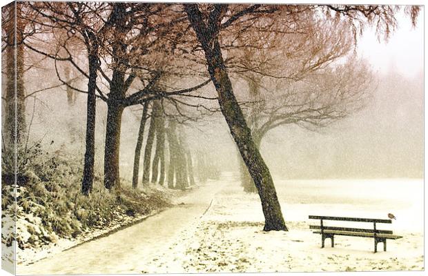  Winter Serenity Canvas Print by Anthony Michael 