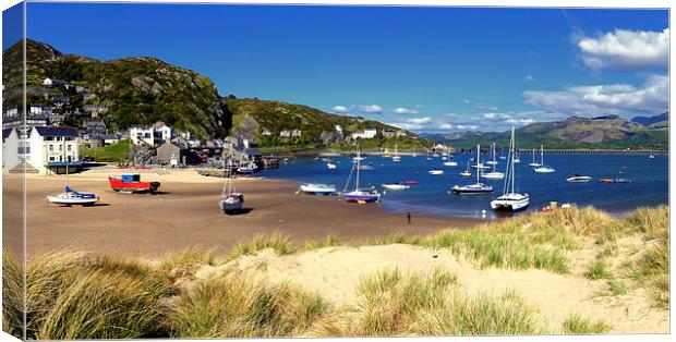 Barmouth From The Dunes Canvas Print by Anthony Michael 
