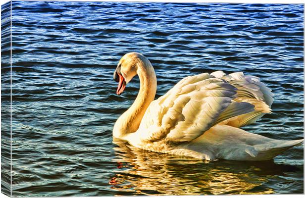 Golden Swan Canvas Print by Anthony Michael 
