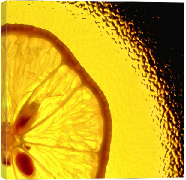 Lemon Fizz!! Canvas Print by Chris Manfield