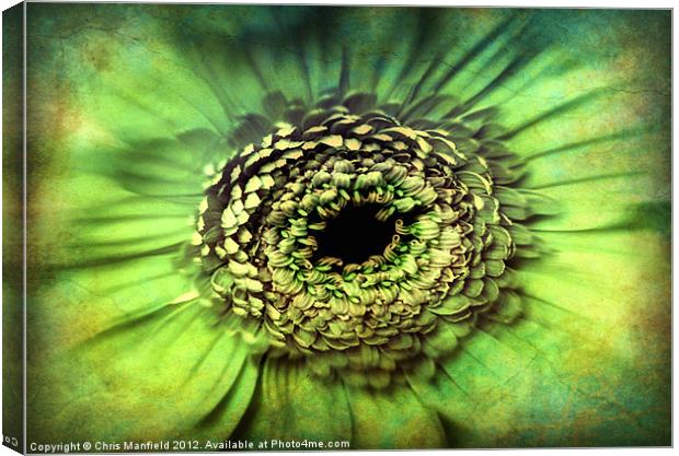 Eye of The Beholder Canvas Print by Chris Manfield